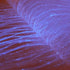 ORGANZA LUMINOUS FABRIC - SAMPLE PACK